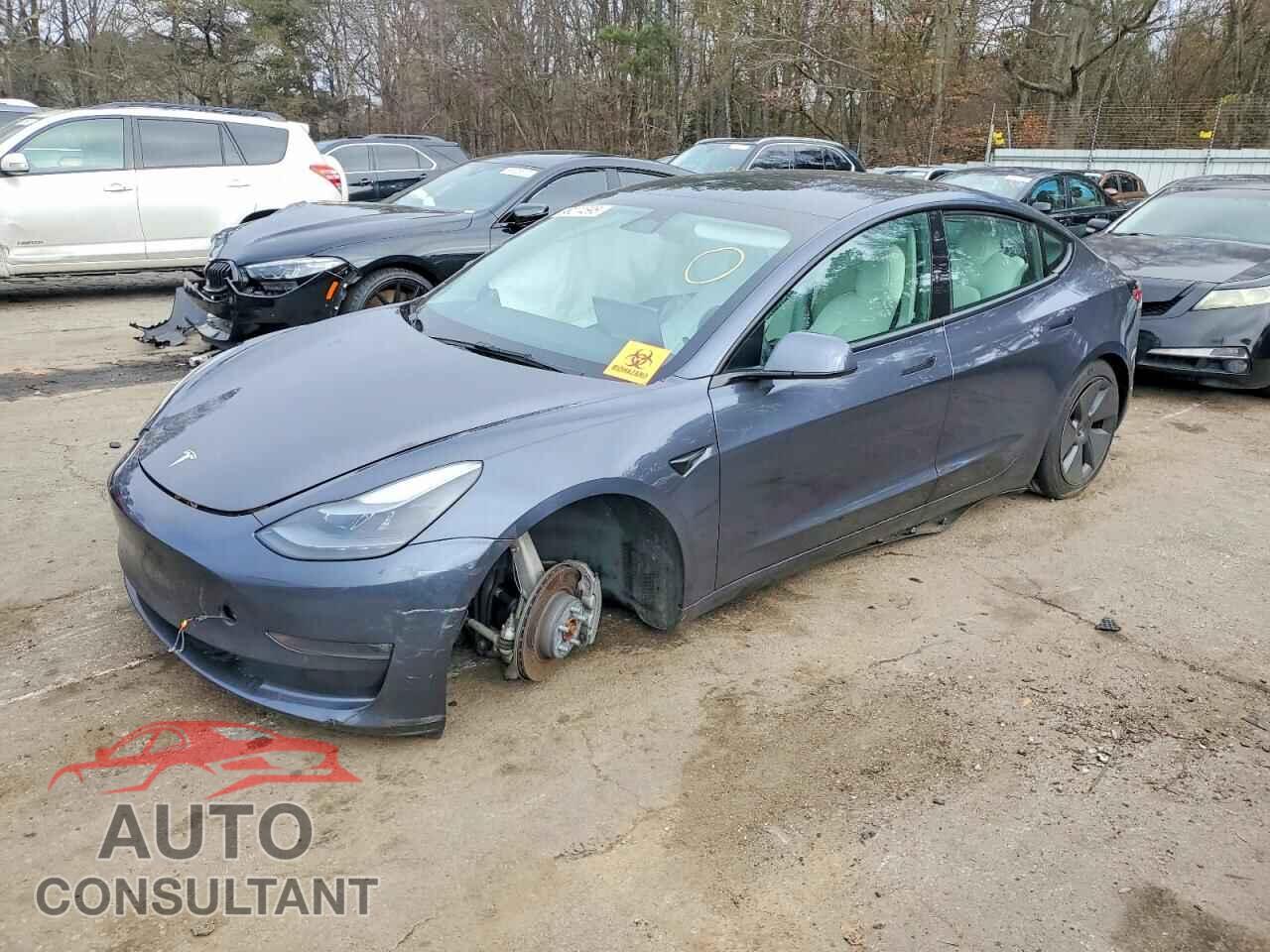TESLA MODEL 3 2022 - 5YJ3E1EB9NF192901