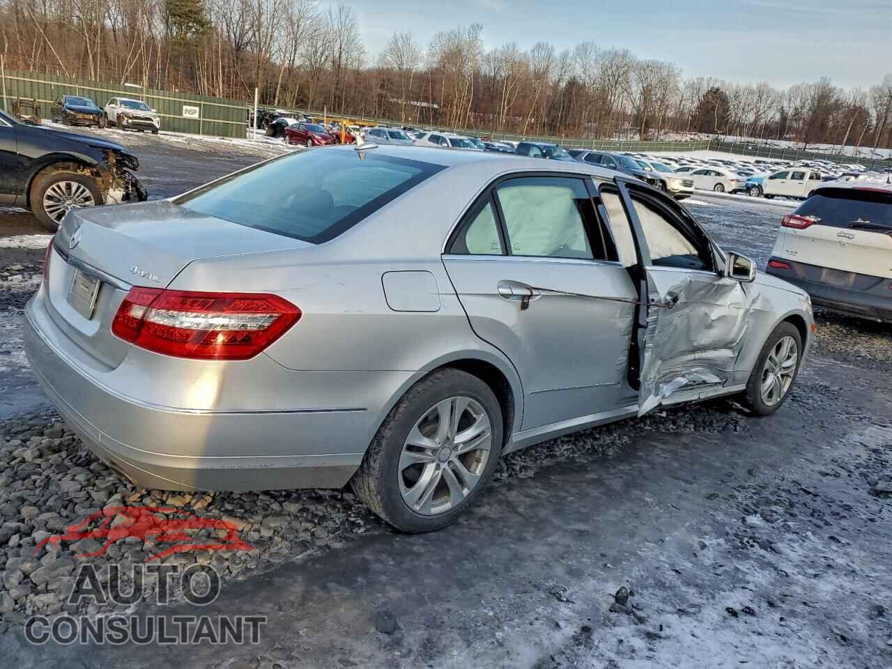 MERCEDES-BENZ E-CLASS 2010 - WDDHF8HB2AA167824