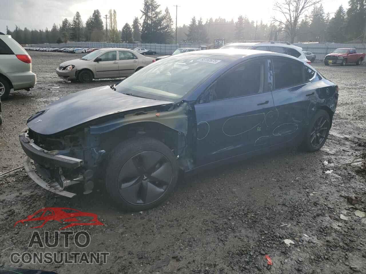 TESLA MODEL 3 2019 - 5YJ3E1EB6KF387771