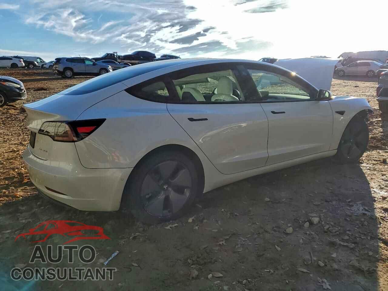 TESLA MODEL 3 2021 - 5YJ3E1EB7MF855946