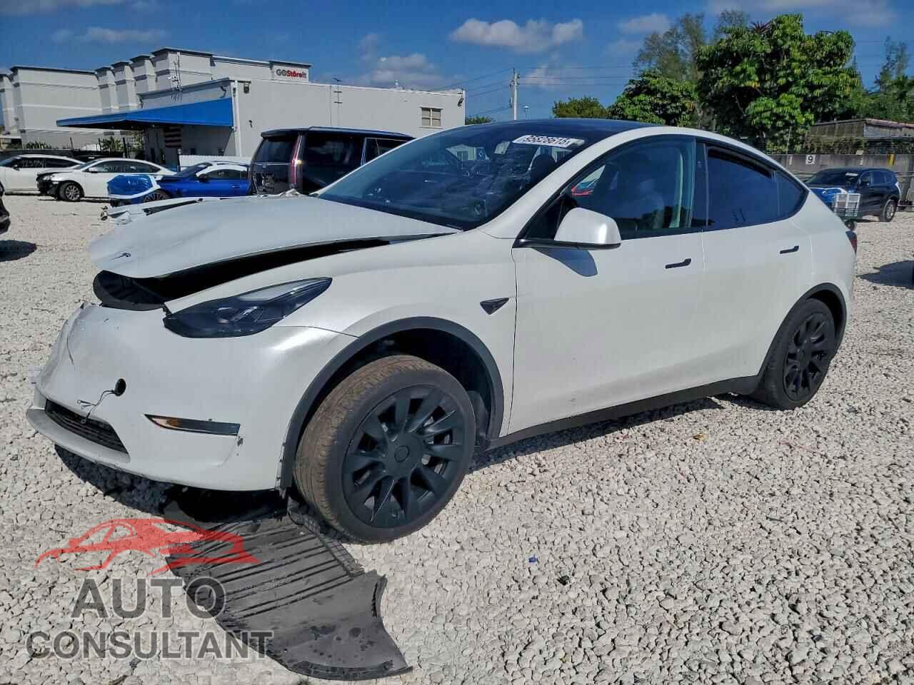 TESLA MODEL Y 2024 - 7SAYGAEE5RF033697