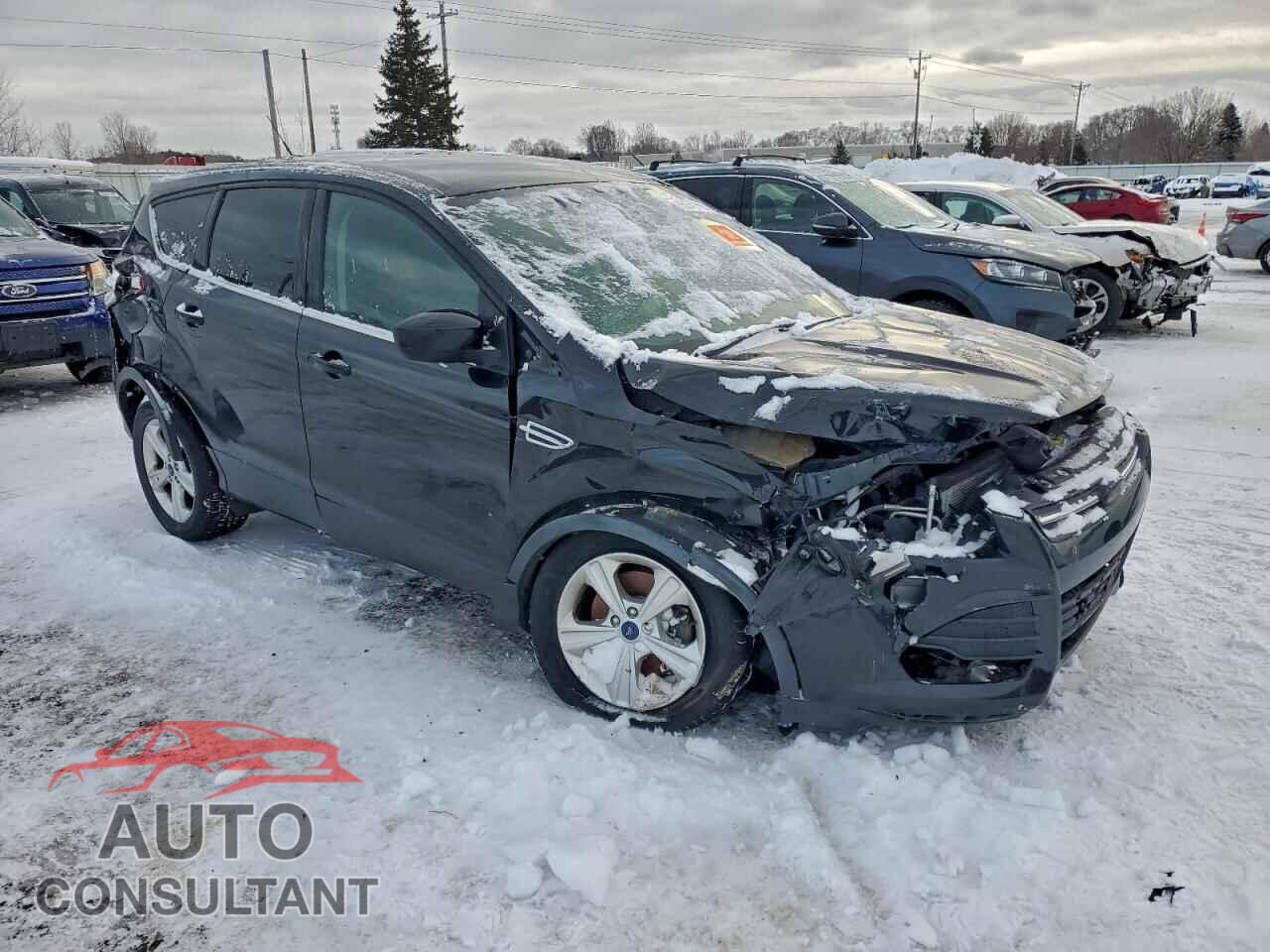 FORD ESCAPE 2014 - 1FMCU9G96EUD80502