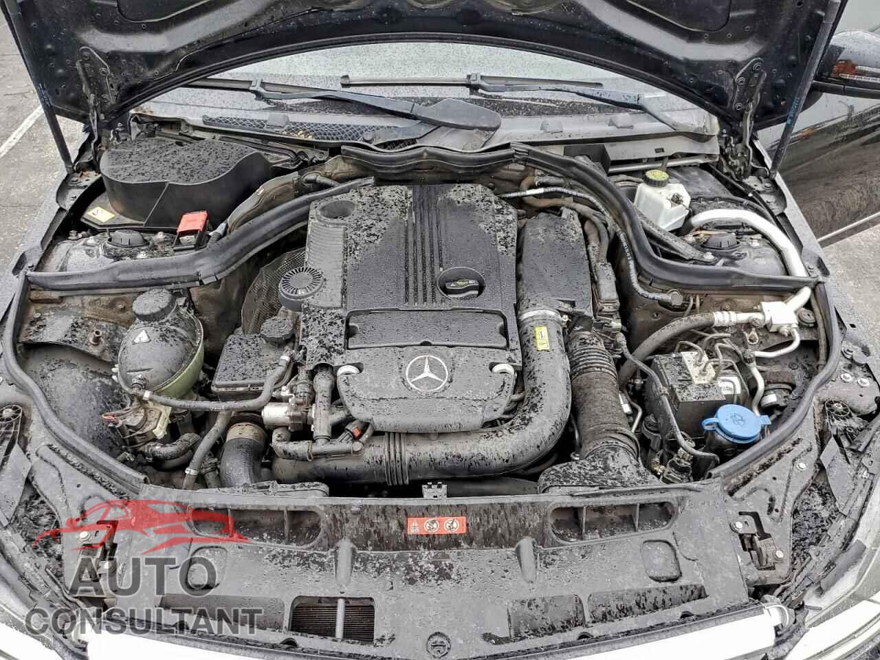 MERCEDES-BENZ C-CLASS 2013 - WDDGF4HB1DA786357