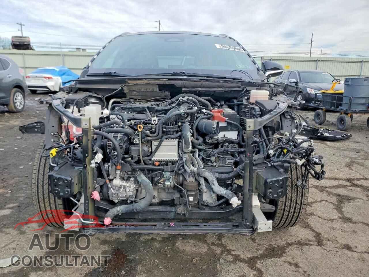 LEXUS RX350 2023 - 2T2BAMCA5PC037204