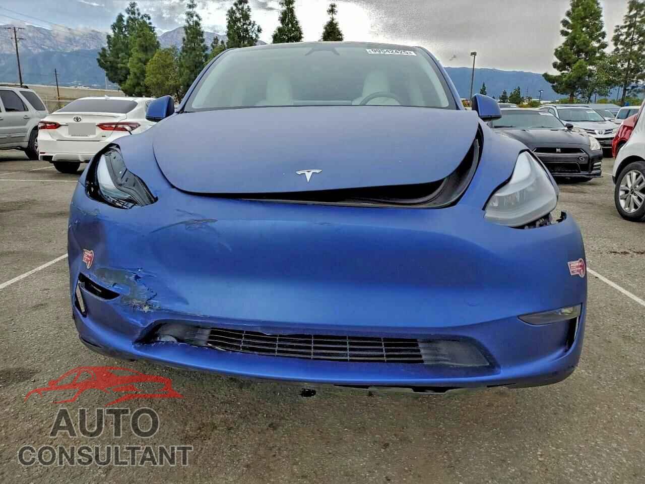 TESLA MODEL Y 2023 - 7SAYGDEE7PF899660
