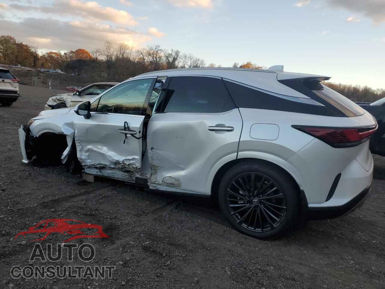LEXUS RX350 2024 - 2T2BAMCA4RC086770