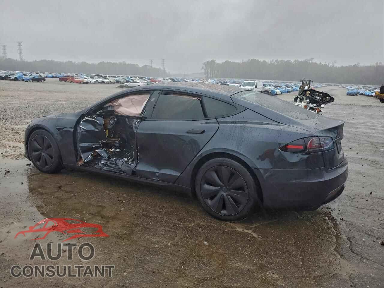 TESLA MODEL S 2024 - 5YJSA1E54RF543009