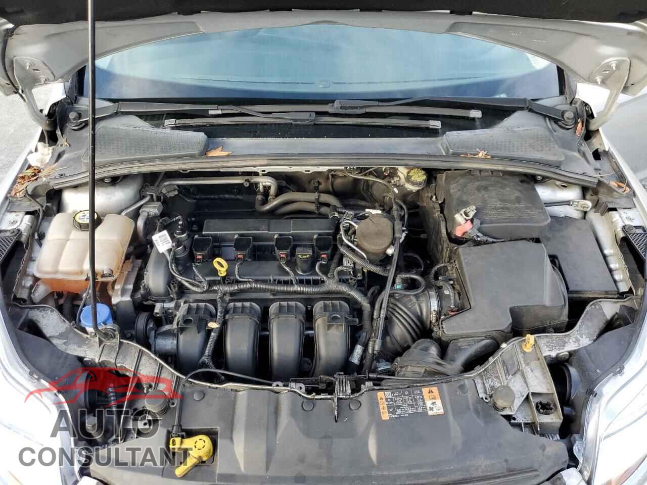 FORD FOCUS 2014 - 1FADP3F23EL391390