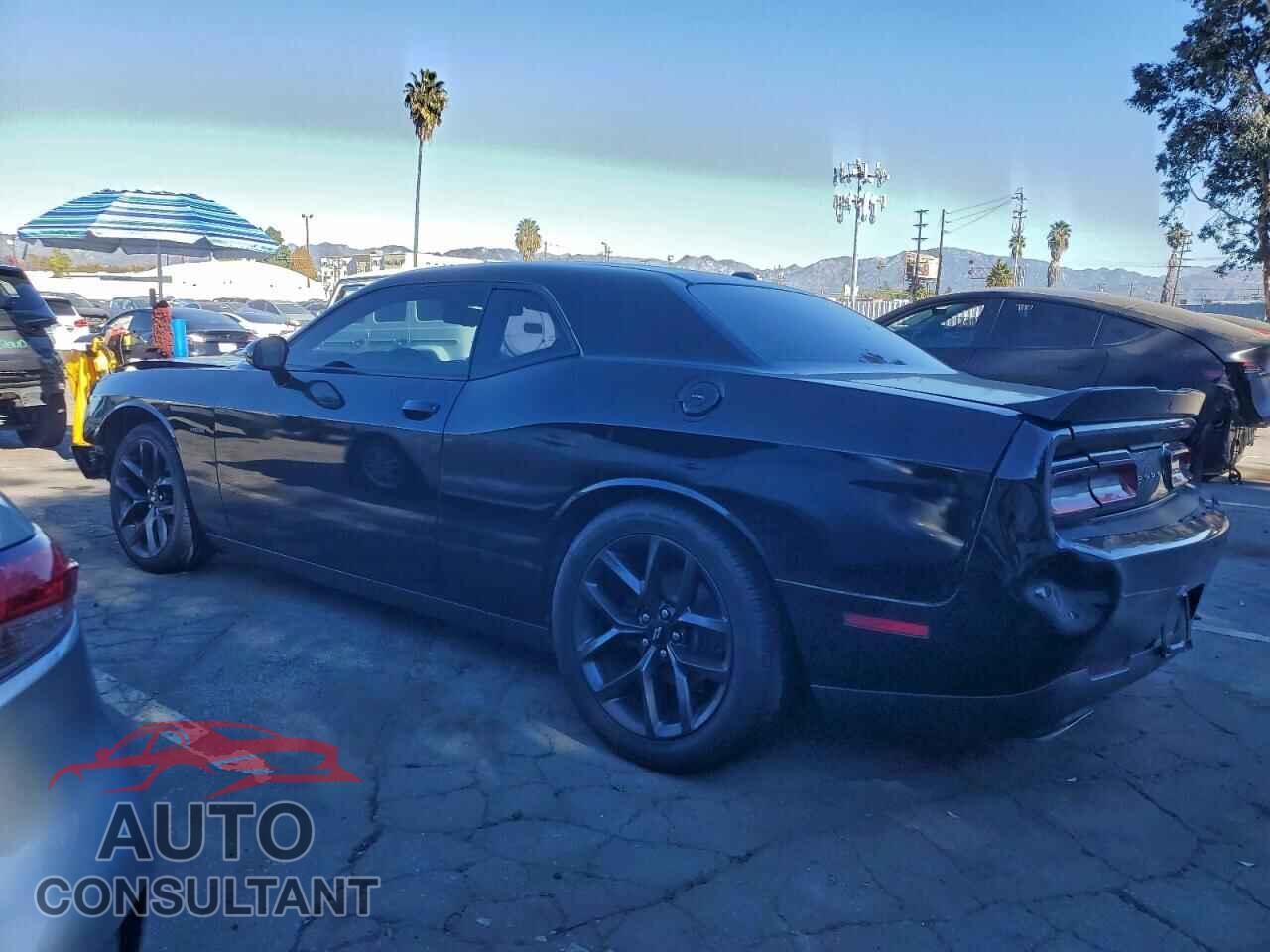 DODGE CHALLENGER 2019 - 2C3CDZBTXKH666699