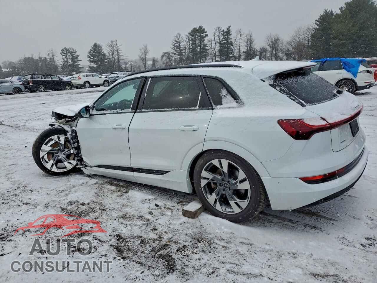 AUDI E-TRON 2021 - WA1AAAGE3MB009708