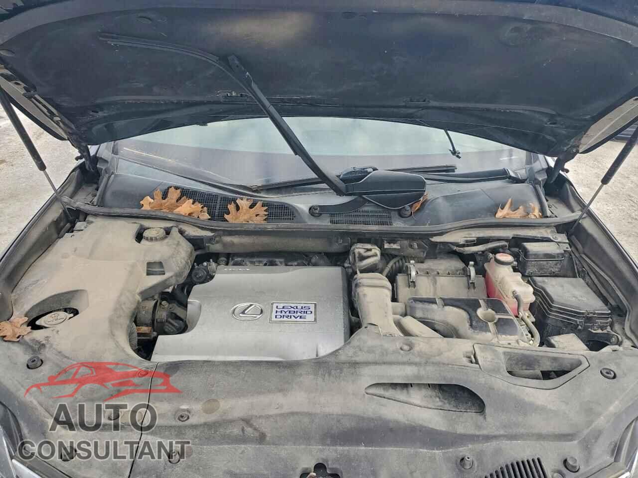 LEXUS RX450 2015 - 2T2BC1BA4FC005644