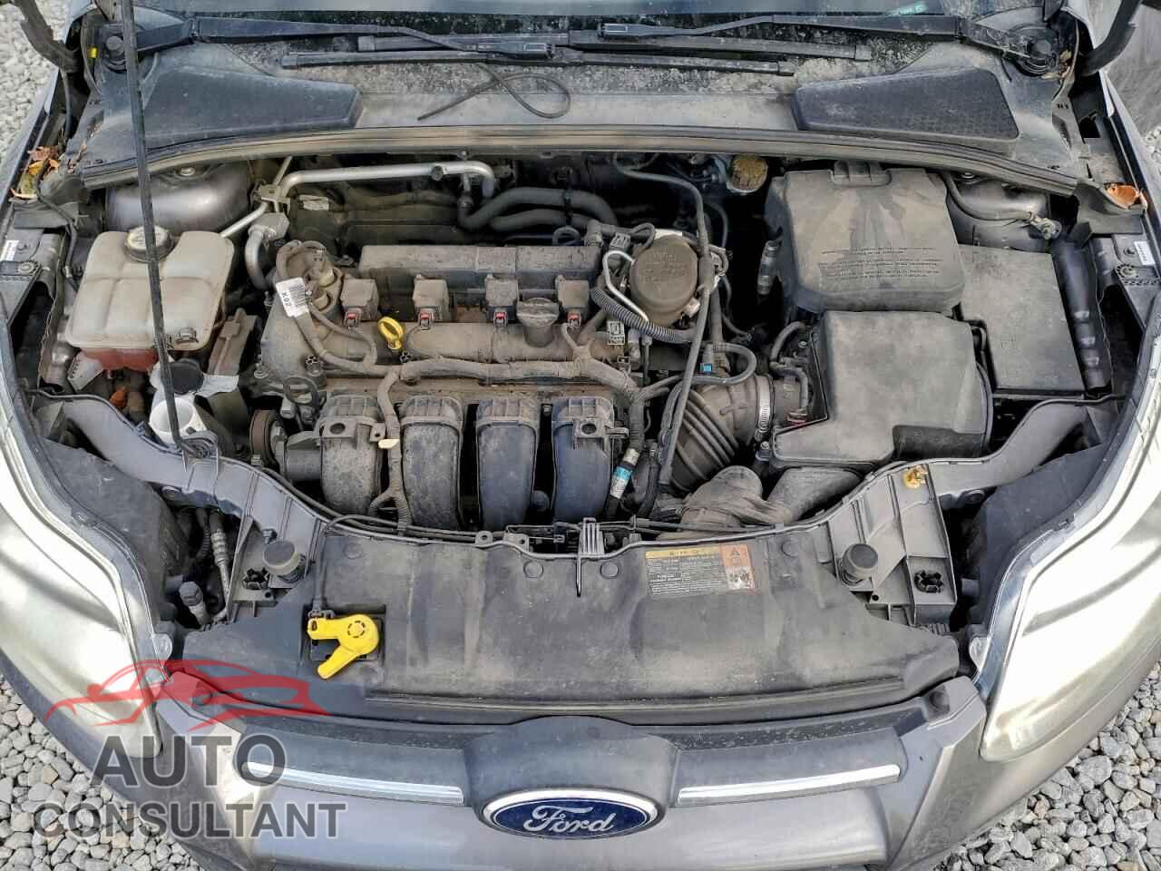 FORD FOCUS 2014 - 1FADP3F2XEL110265