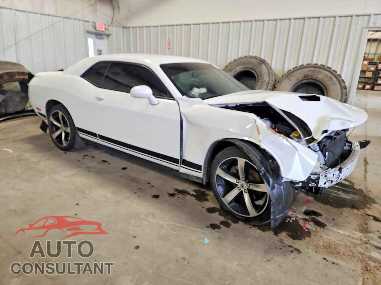 DODGE CHALLENGER 2019 - 2C3CDZAG2KH623270