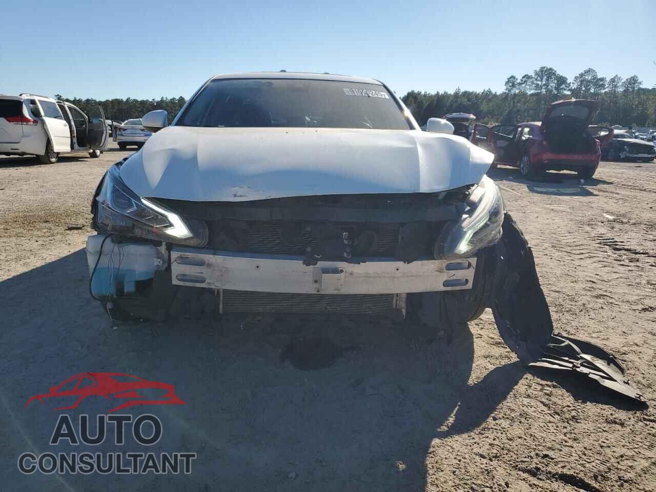 NISSAN ALTIMA 2019 - 1N4BL4EV0KC190420