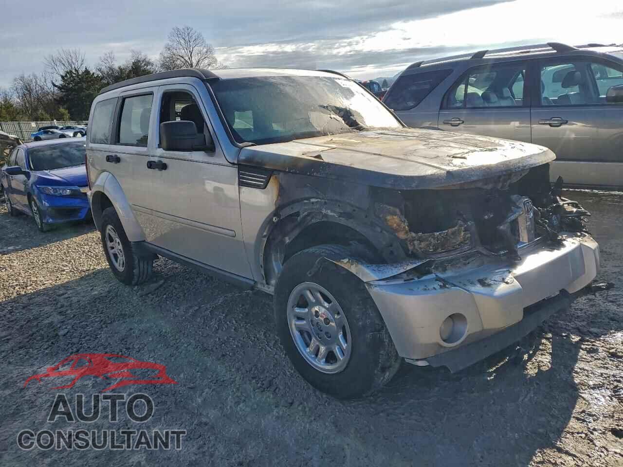 DODGE NITRO 2010 - 1D4PT2GK9AW105405