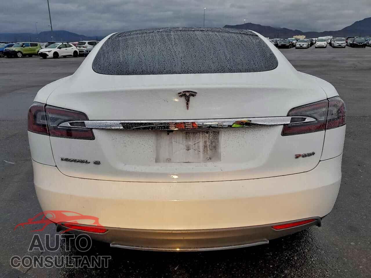 TESLA MODEL S 2013 - 5YJSA1DP2DFP17283