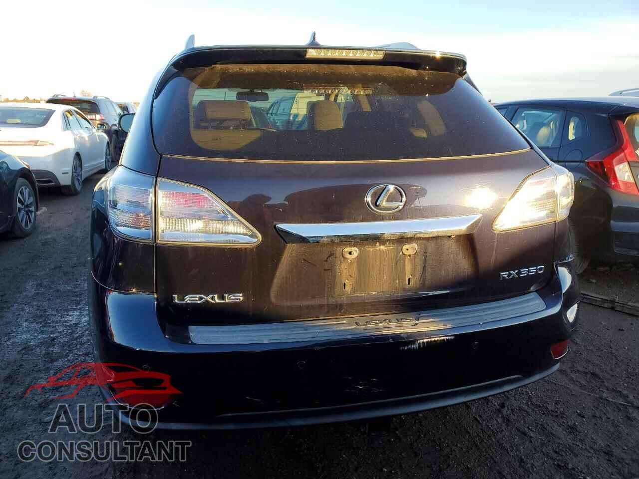 LEXUS RX350 2010 - 2T2BK1BA5AC049311