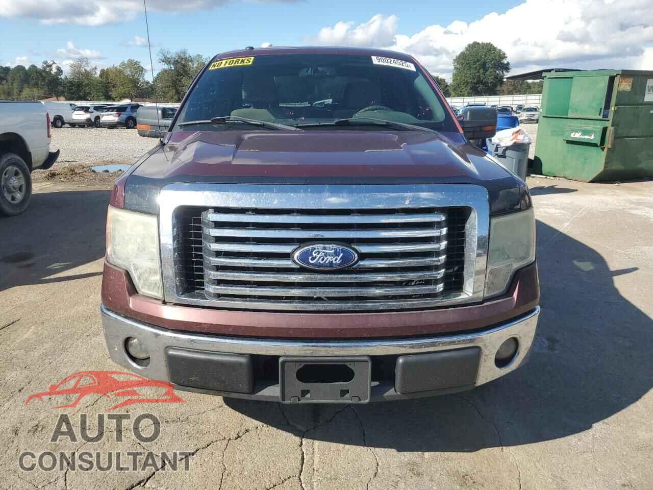 FORD F-150 2010 - 1FTEW1C8XAFB84244