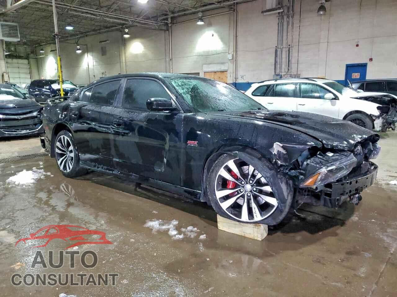 DODGE CHARGER 2014 - 2C3CDXEJ6EH283569