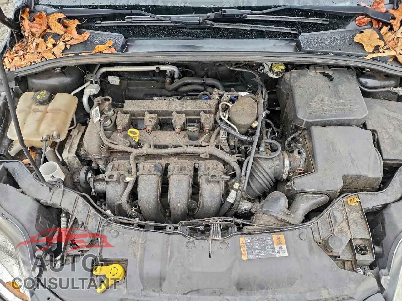 FORD FOCUS 2014 - 1FADP3F29EL426823