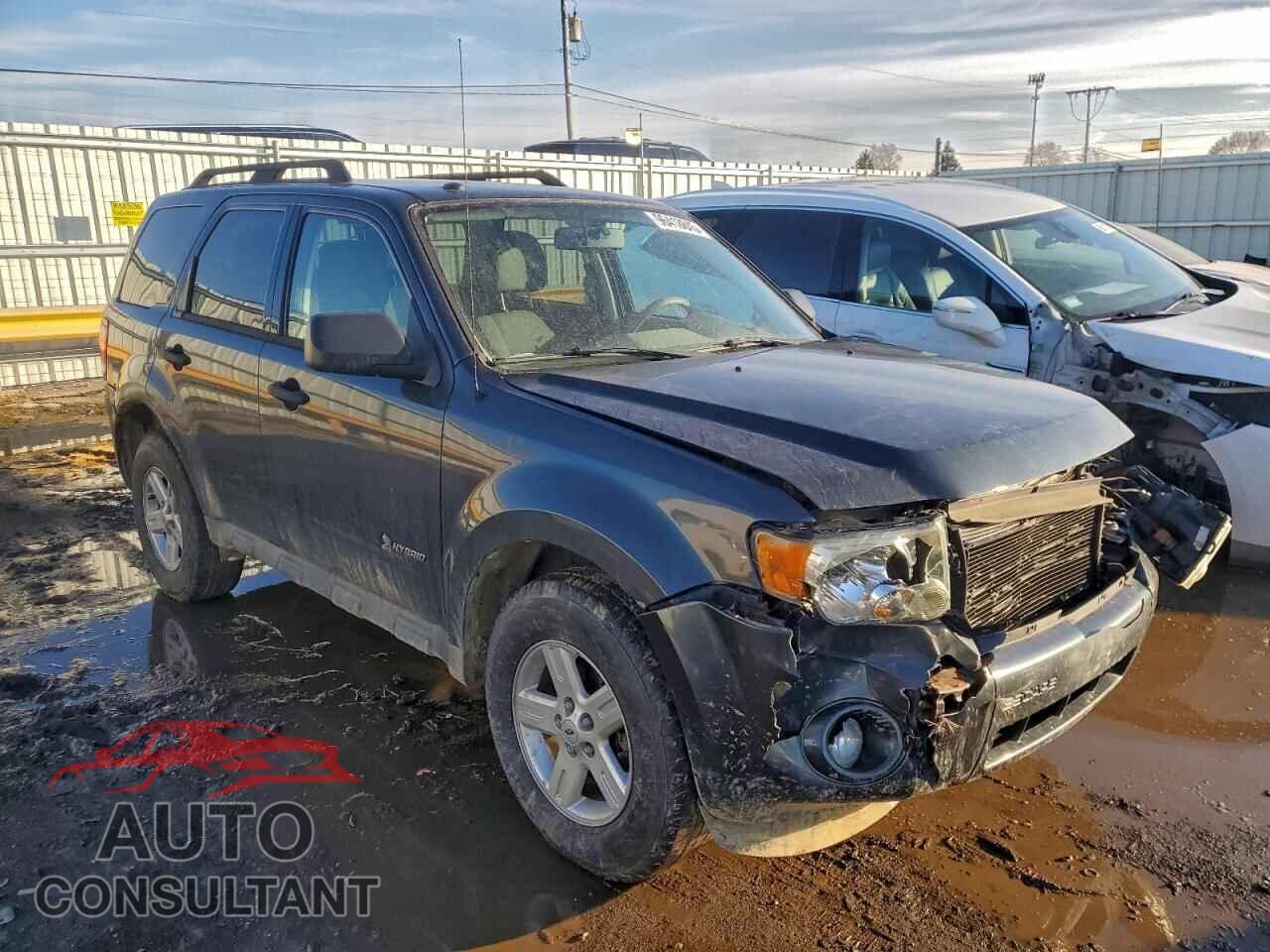 FORD ESCAPE 2010 - 1FMCU5K34AKB18608