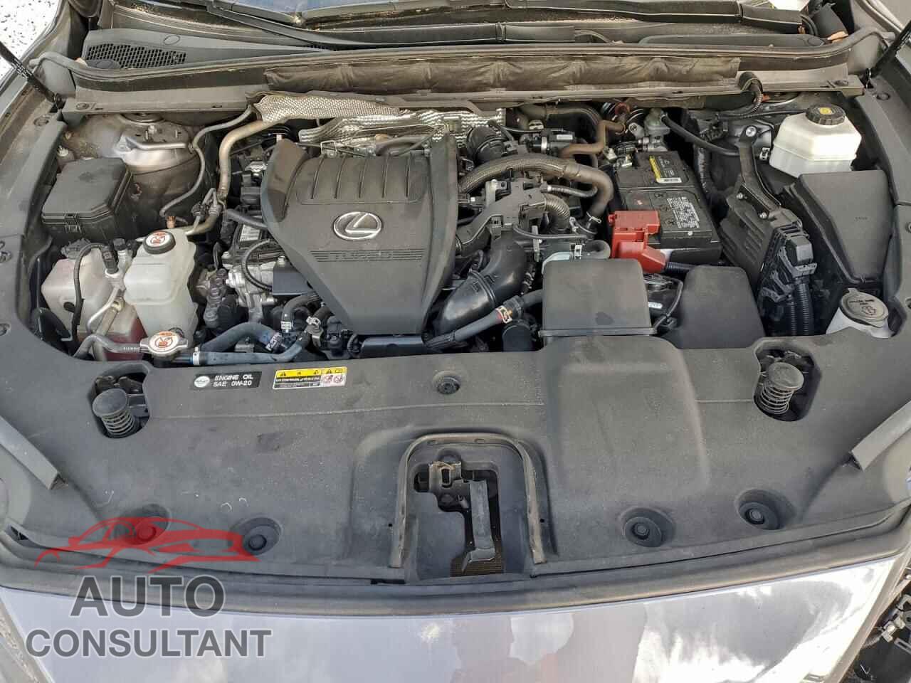 LEXUS RX350 2023 - 2T2BAMCA4PC016635