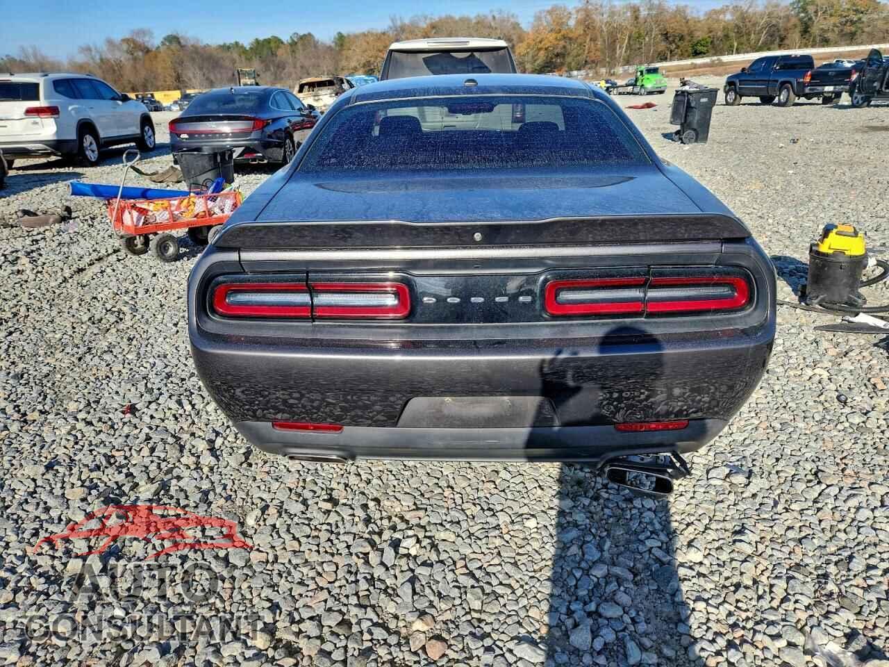DODGE CHALLENGER 2019 - 2C3CDZAG3KH719036