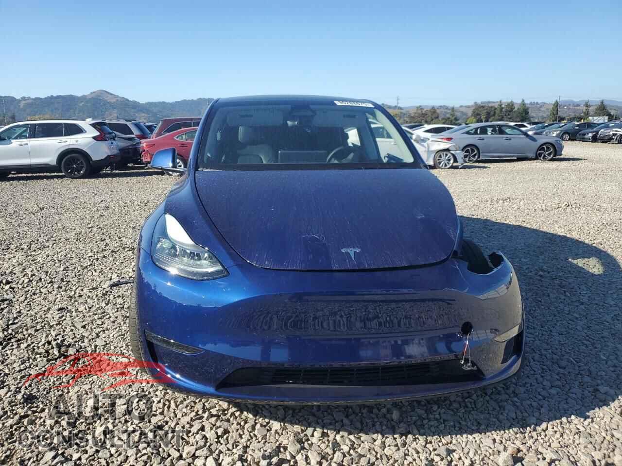 TESLA MODEL Y 2024 - 7SAYGDEEXRF032188