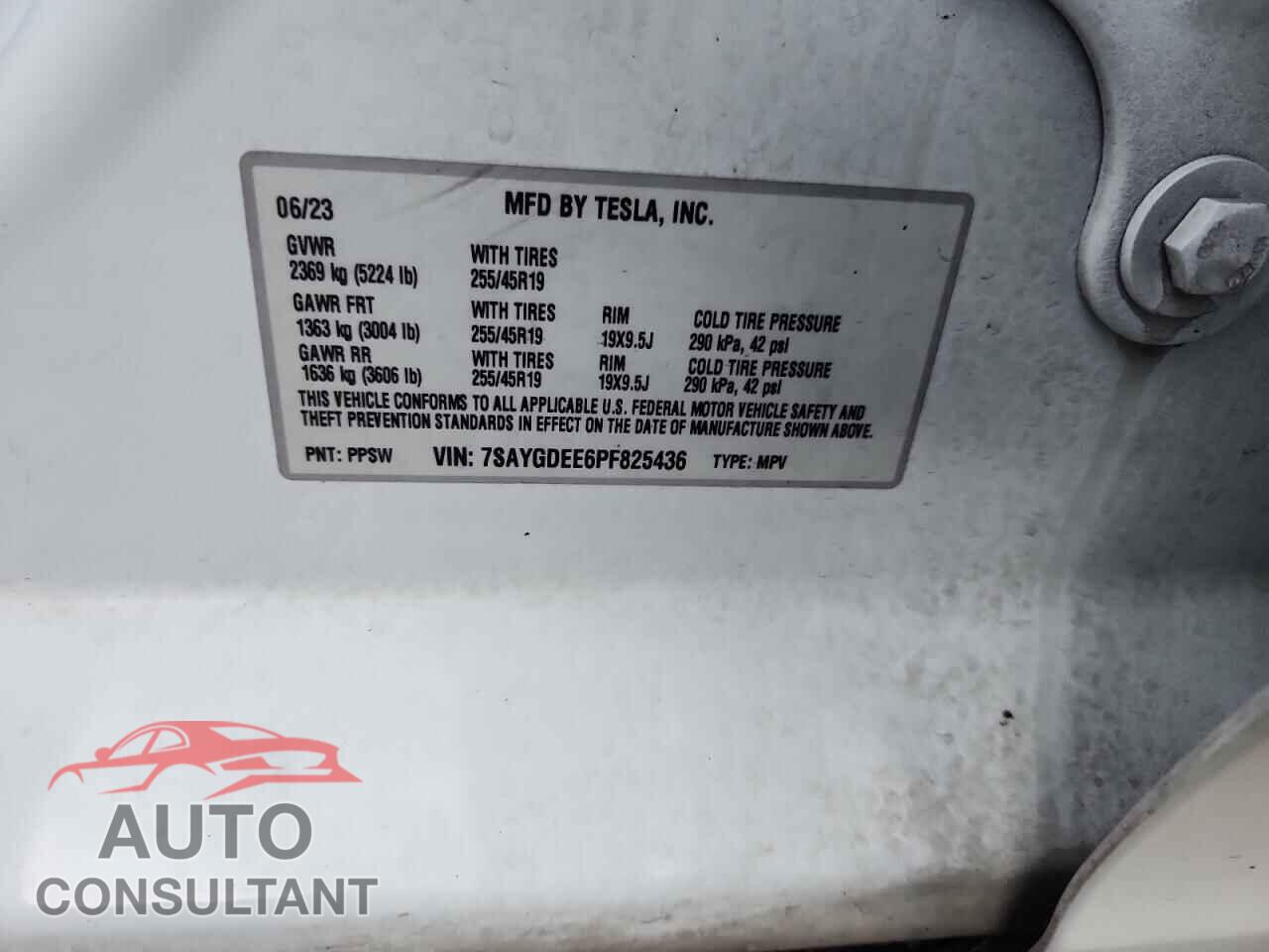 TESLA MODEL Y 2023 - 7SAYGDEE6PF825436