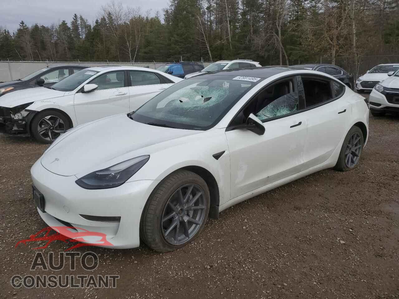 TESLA MODEL 3 2022 - 5YJ3E1EB9NF346992