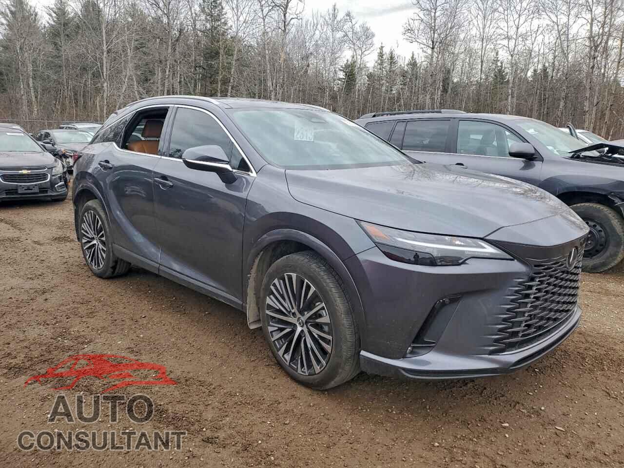 LEXUS RX 350H BA 2024 - 2T2BBMCA4RC039252