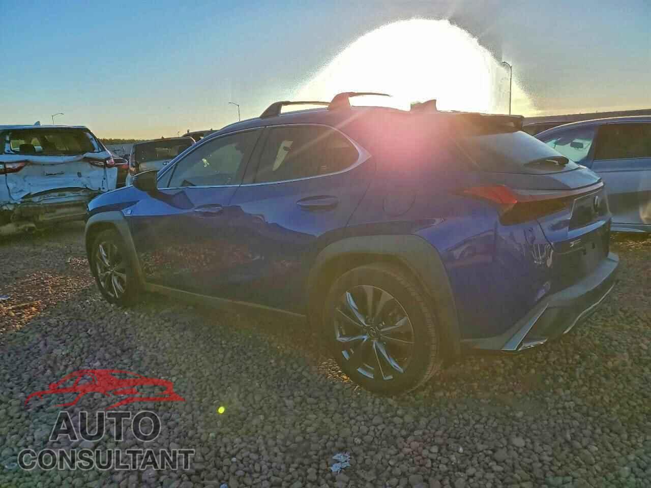 LEXUS ALL OTHER 2019 - JTHY3JBH9K2007263