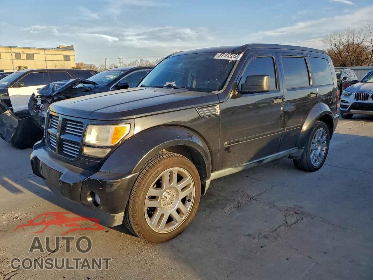 DODGE NITRO 2011 - 1D4PT4GK3BW590007