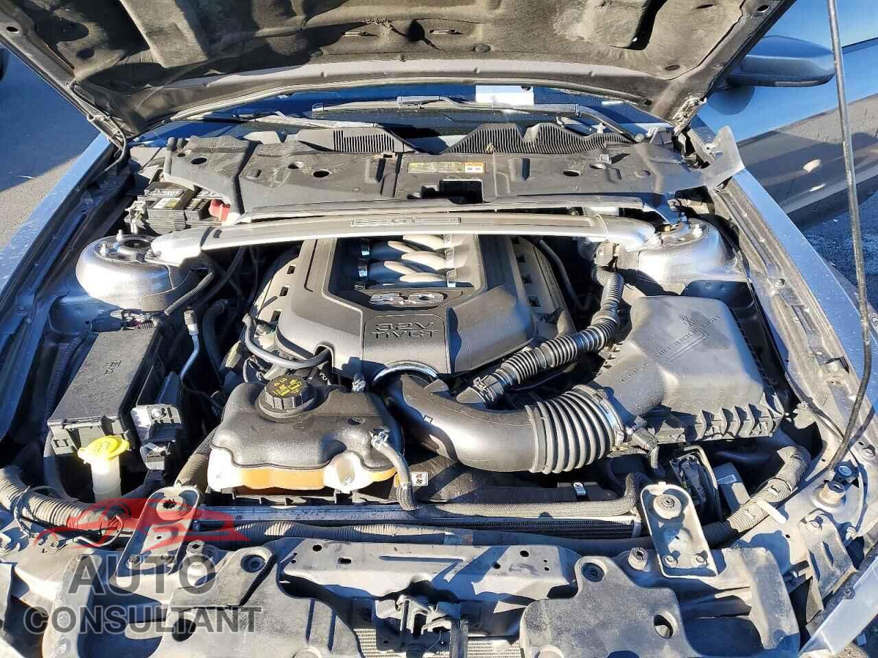 FORD MUSTANG 2014 - 1ZVBP8CF1E5208043