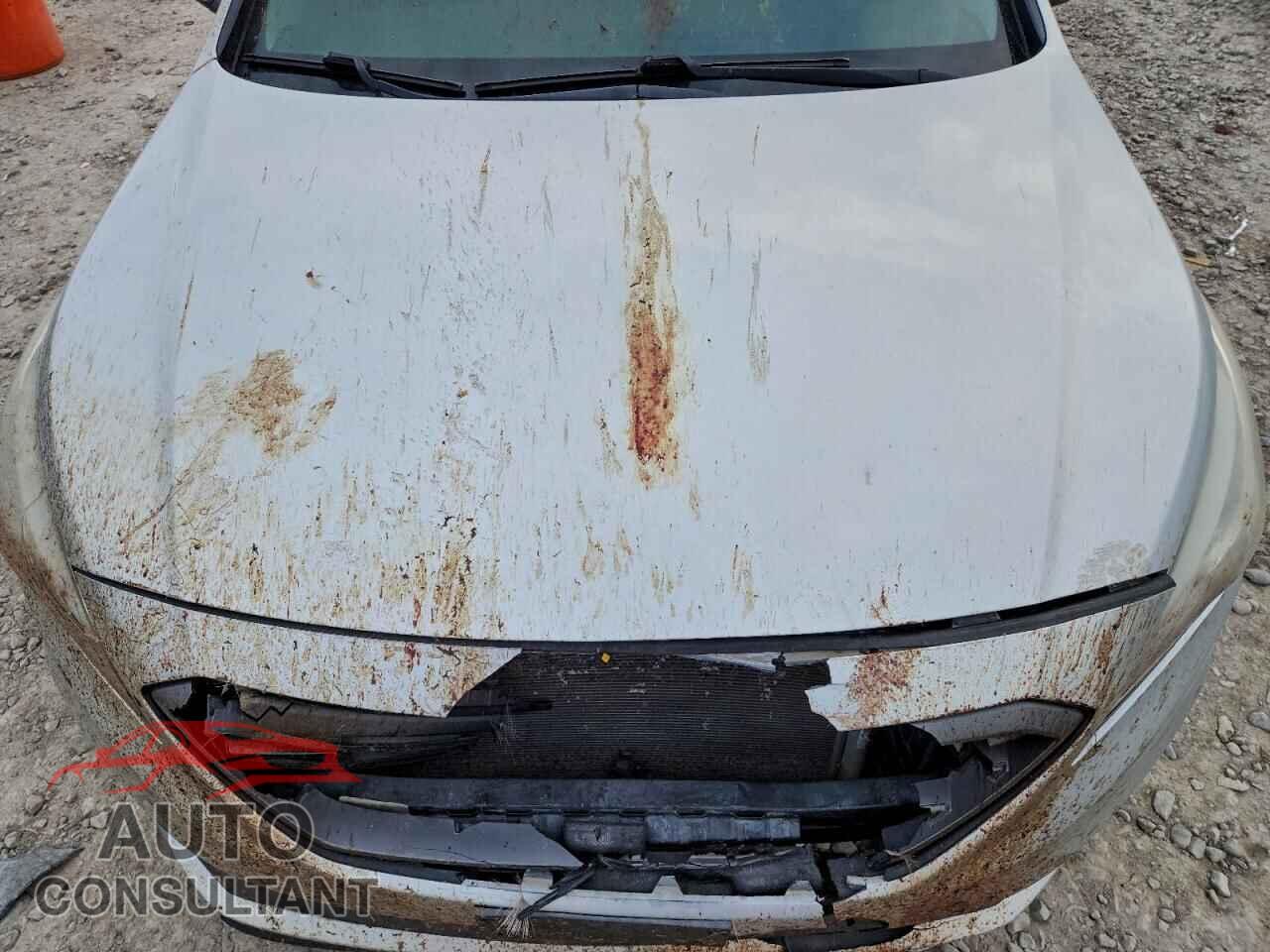 HYUNDAI SONATA 2015 - 5NPE34AF9FH081924