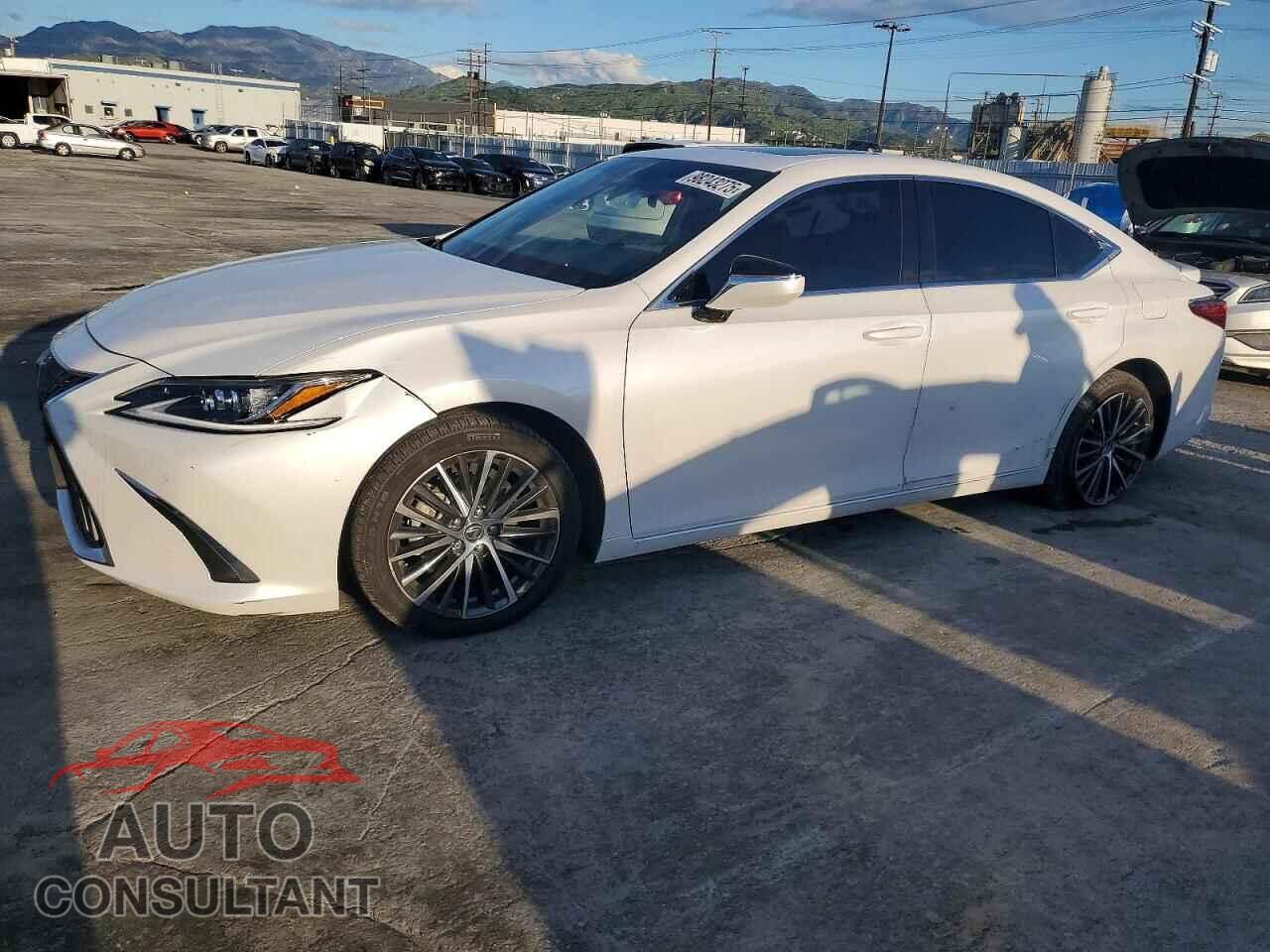 LEXUS ES300 2024 - 58ADA1C19RU038541