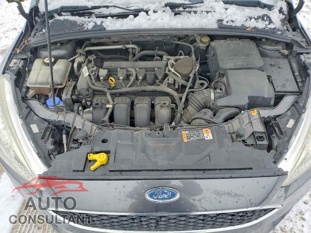 FORD FOCUS 2016 - 1FADP3E26GL210593