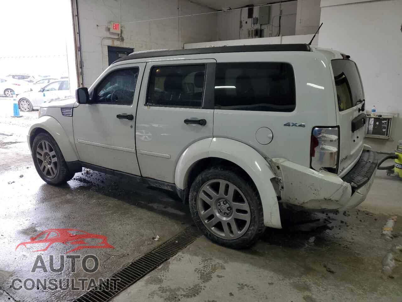 DODGE NITRO 2011 - 1D4PU4GKXBW598375