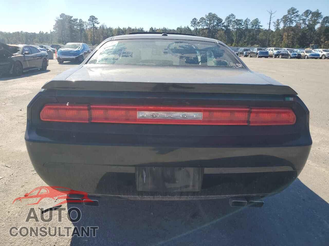 DODGE CHALLENGER 2014 - 2C3CDYBT9EH142572