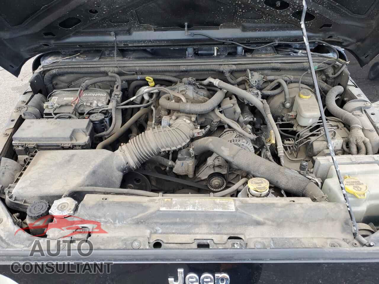 JEEP WRANGLER 2011 - 1J4AA2D1XBL521190