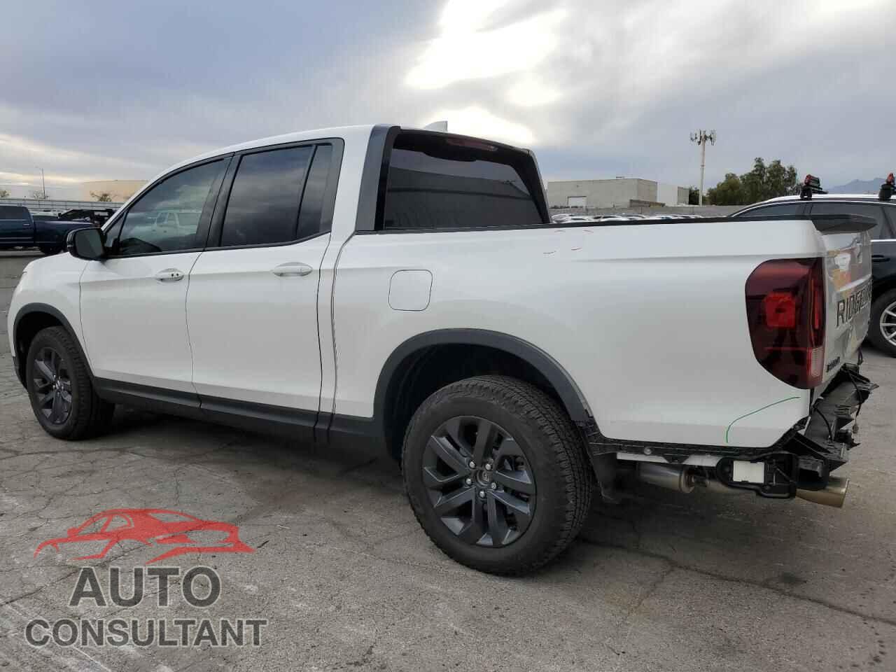 HONDA RIDGELINE 2024 - 5FPYK3F13RB011160