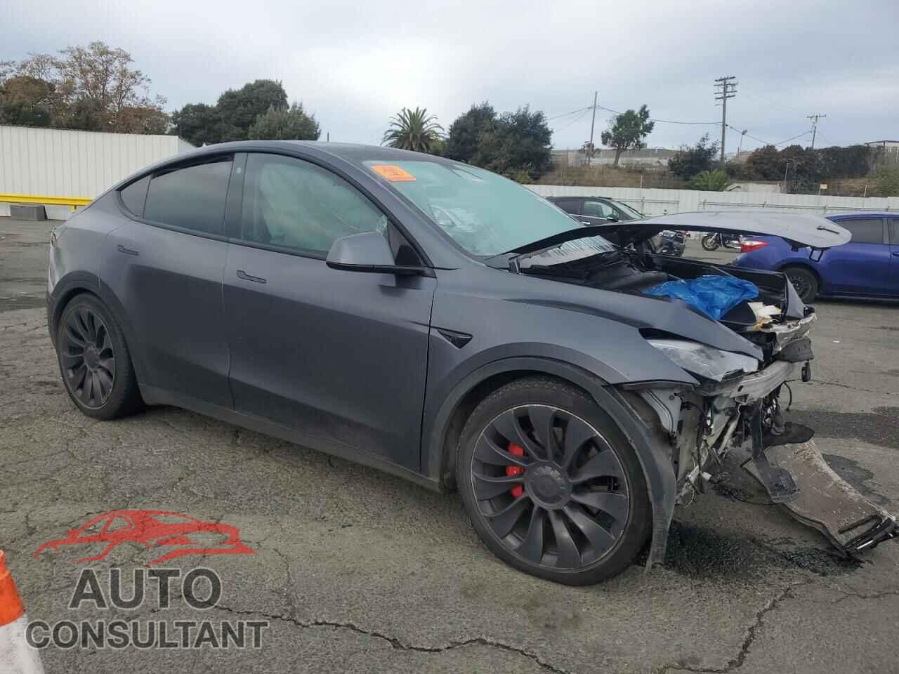 TESLA MODEL Y 2022 - 7SAYGDEF9NF359474