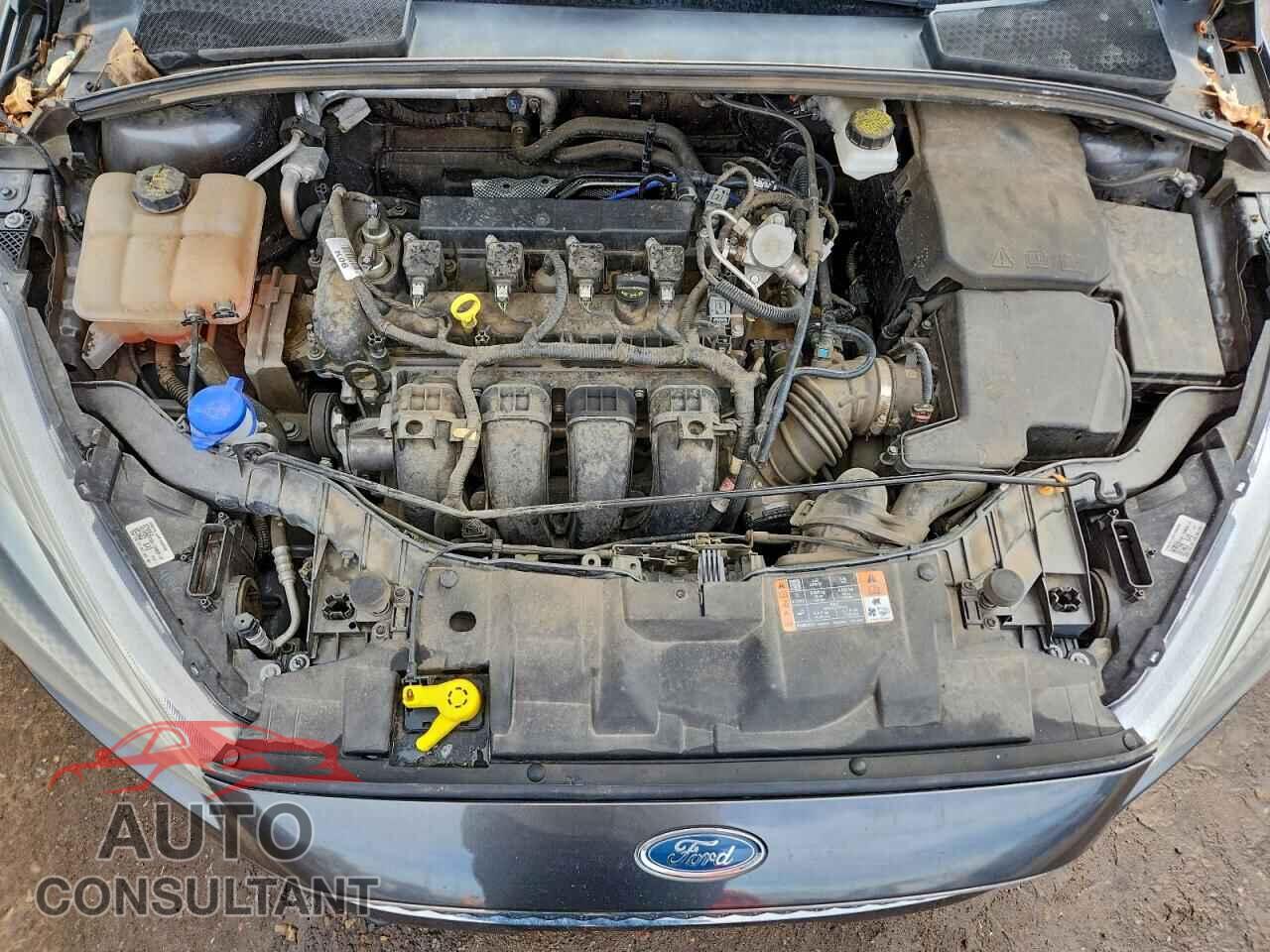 FORD FOCUS 2017 - 1FADP3F29HL329688