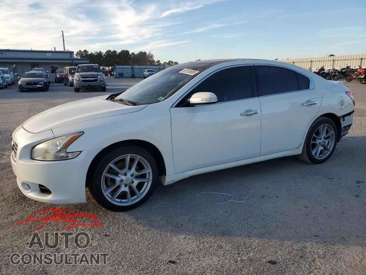 NISSAN MAXIMA 2011 - 1N4AA5AP1BC804129