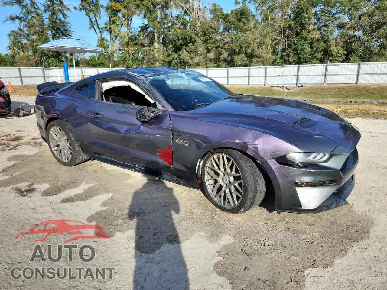 FORD MUSTANG 2019 - 1FA6P8CF7K5122161