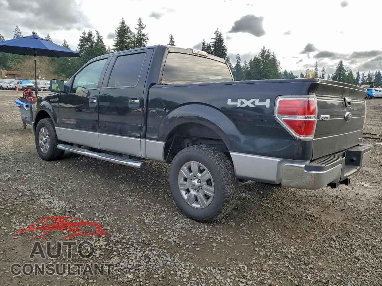 FORD F-150 2012 - 1FTFW1EF3CKE36832