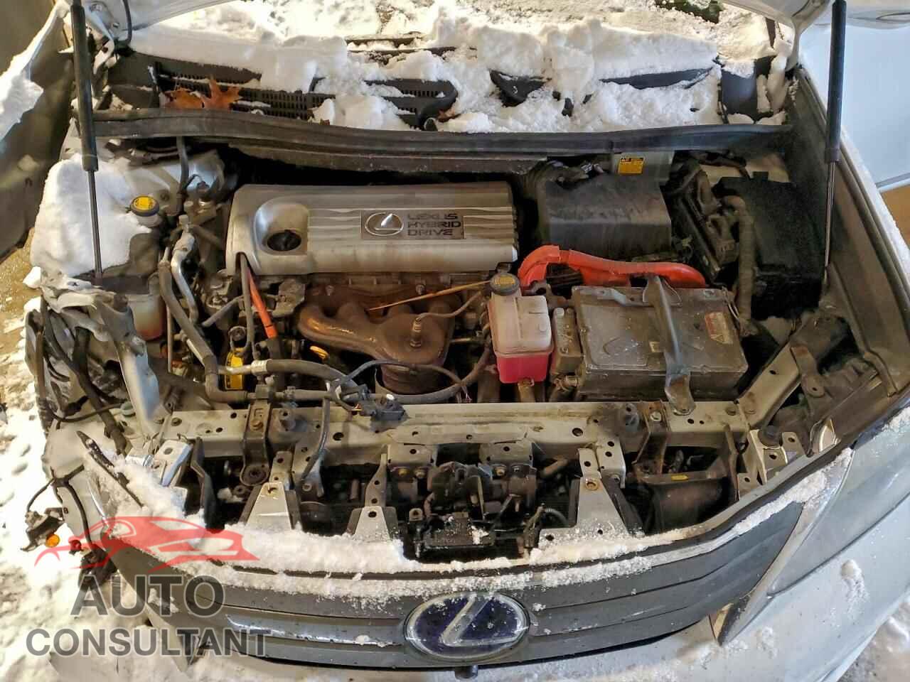 LEXUS HS 2010 - JTHBB1BA1A2016176