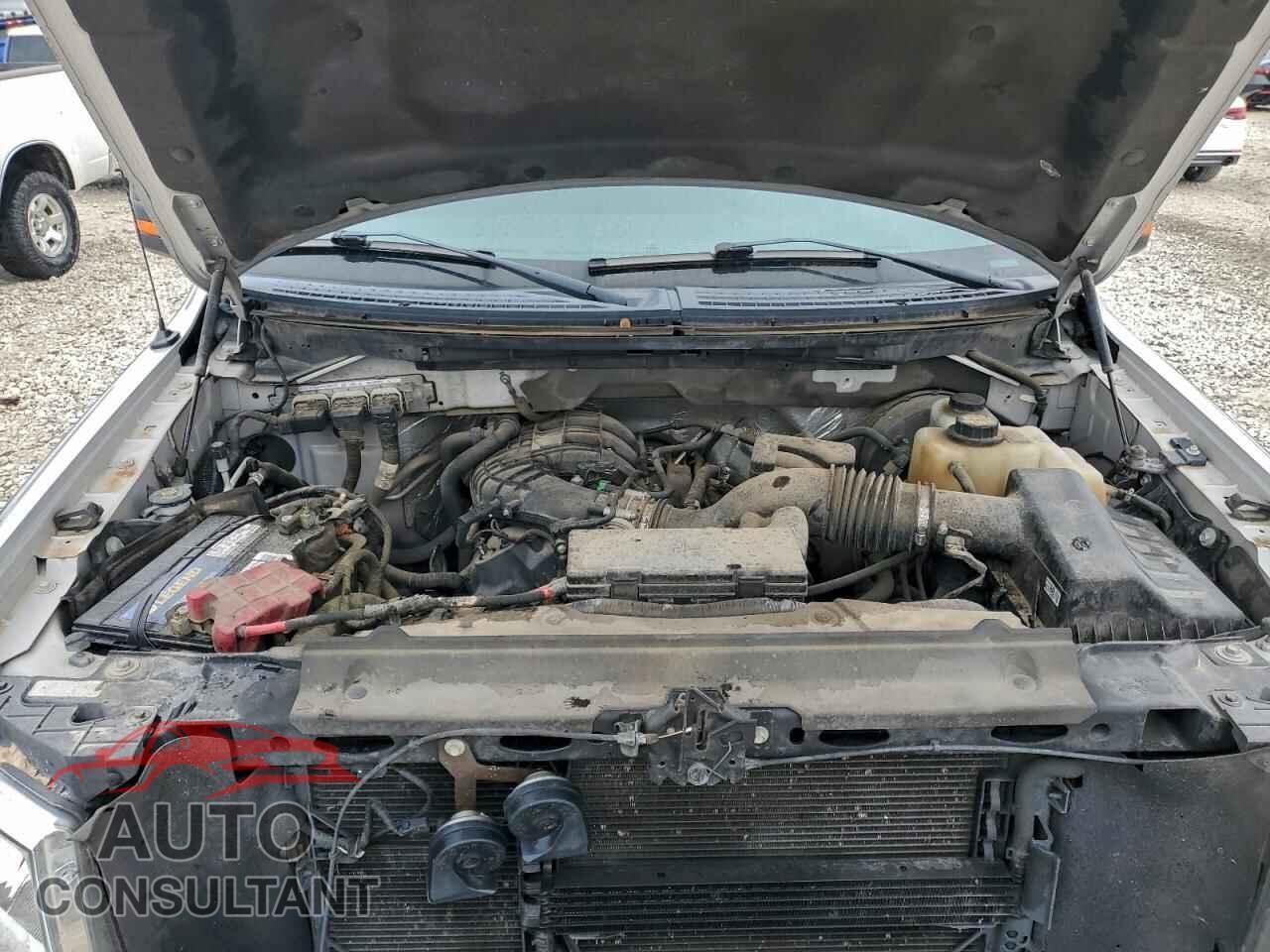FORD F-150 2012 - 1FTEW1CM6CFC08510