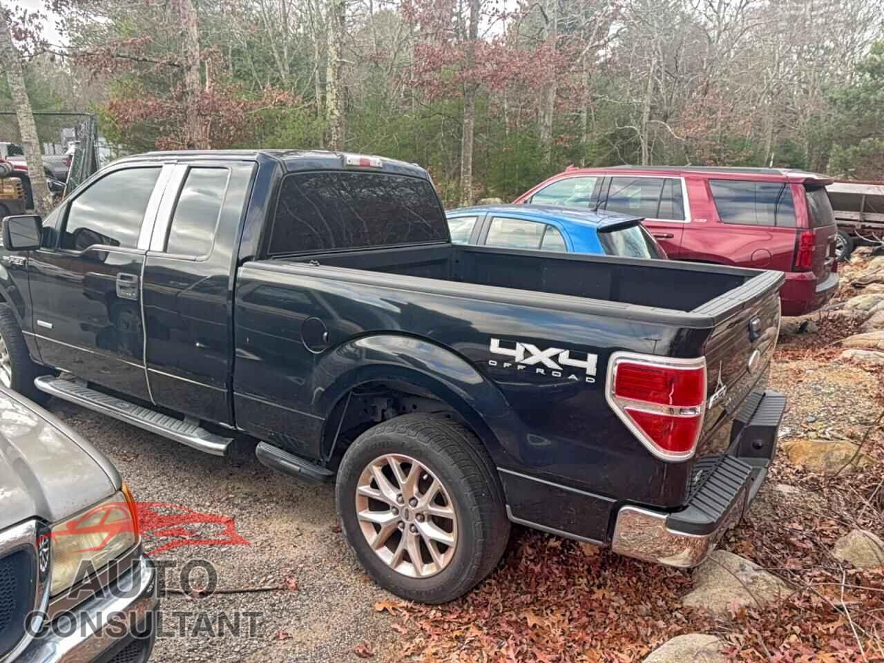 FORD F-150 2011 - 1FTFX1ET0BFD33426