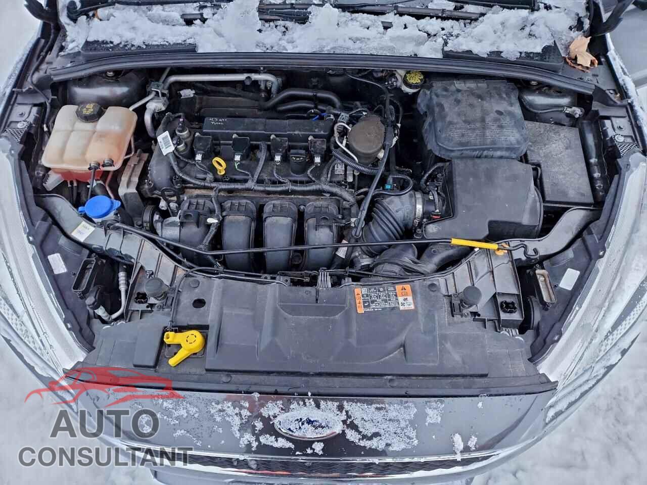FORD FOCUS 2016 - 1FADP3K21GL212157